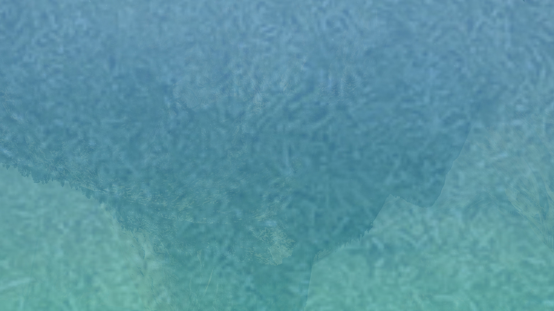 ddos在线攻击测试网站