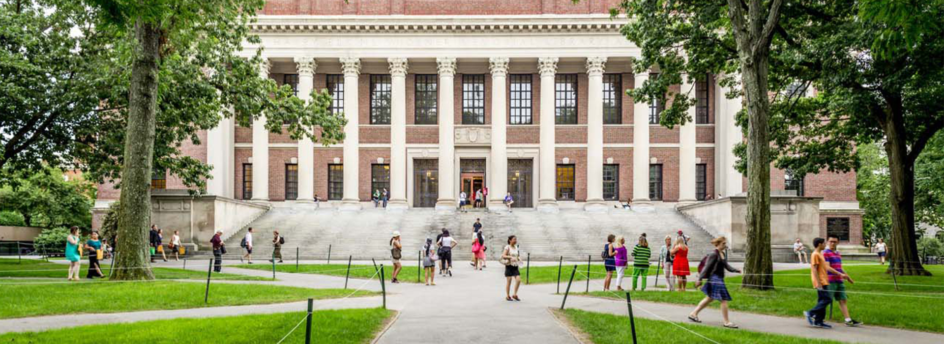 正版授权码的网站ddos